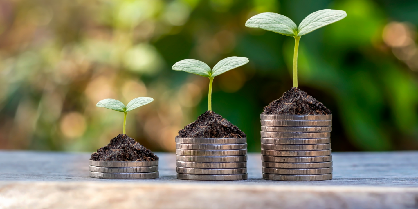 Three coins stacked with a small green plant growing on top.